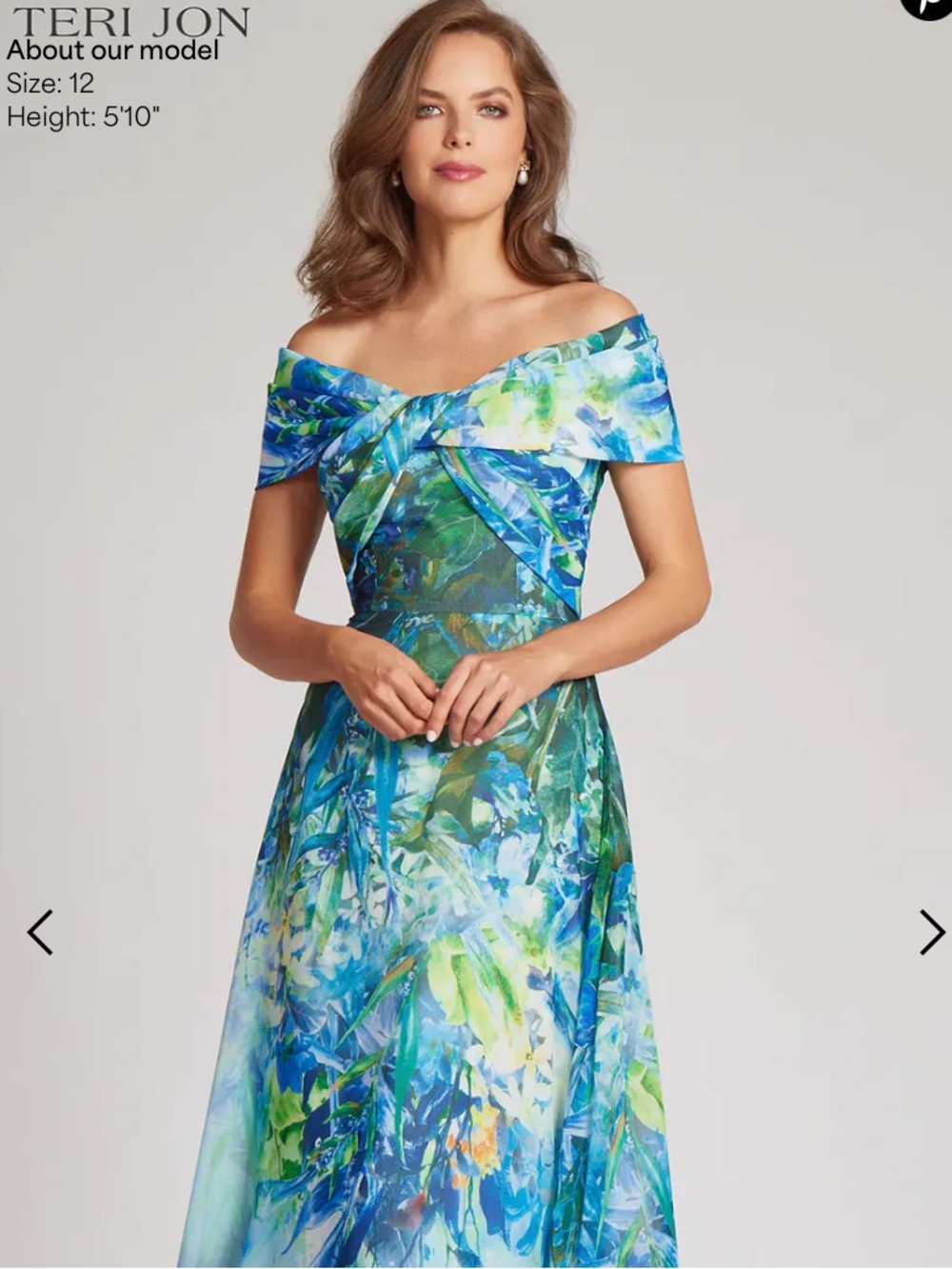 NWT TERI JON Shiffon Gown